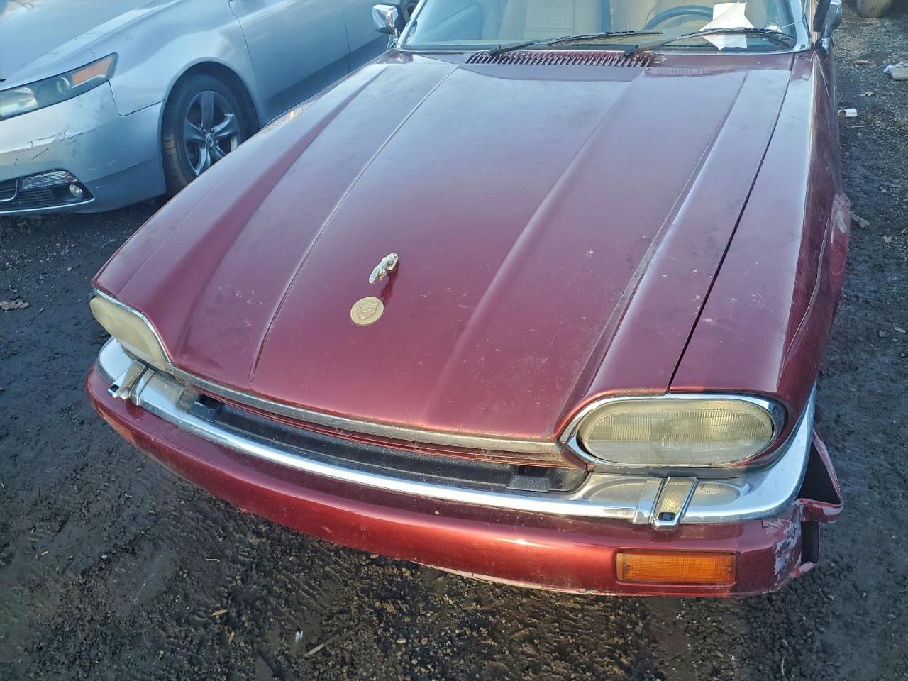 1994 Jaguar Xjs 2+2 Red vin: SAJNX2748RC188804