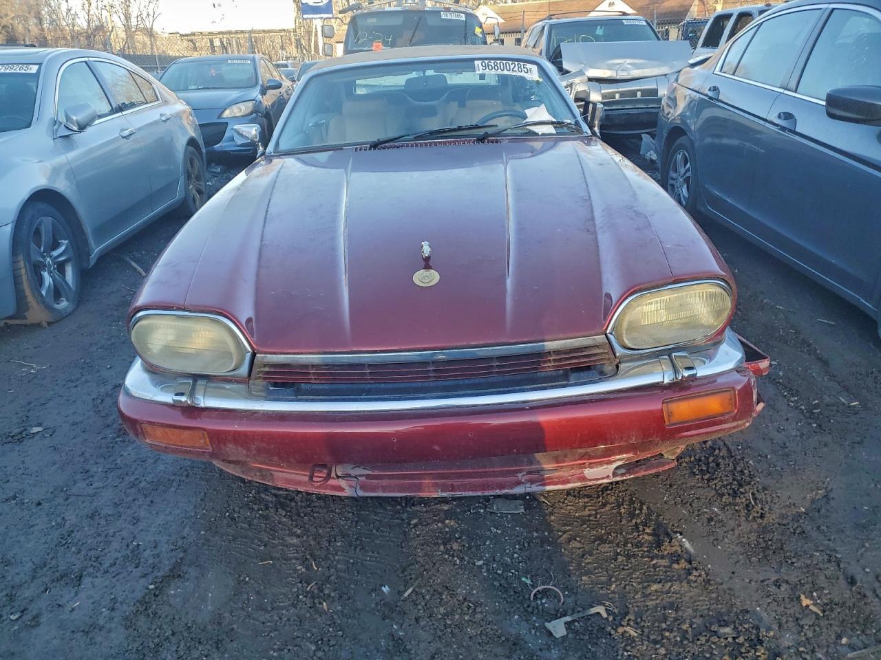 1994 Jaguar Xjs 2+2 Red vin: SAJNX2748RC188804