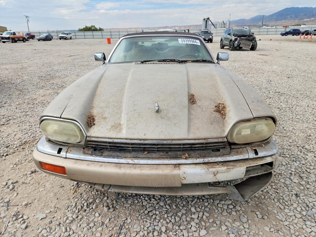 1995 Jaguar Xjs 2+2 Beige vin: SAJNX274XSC198255