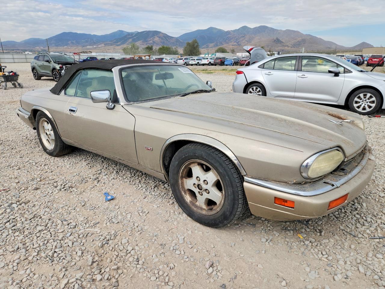 1995 Jaguar Xjs 2+2 Beige vin: SAJNX274XSC198255
