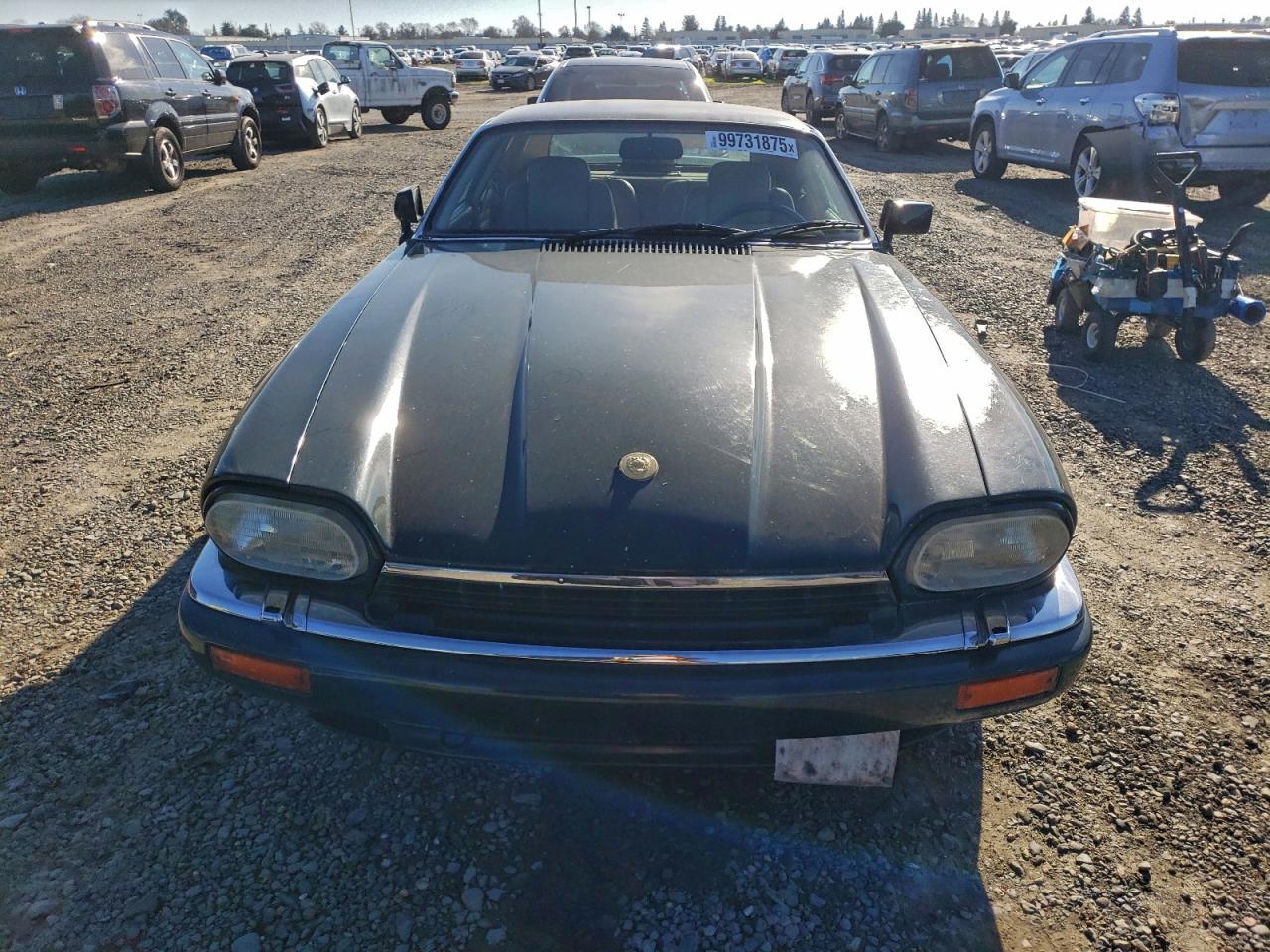 1994 Jaguar Xjs Зеленый vin: SAJNX5348RC189412