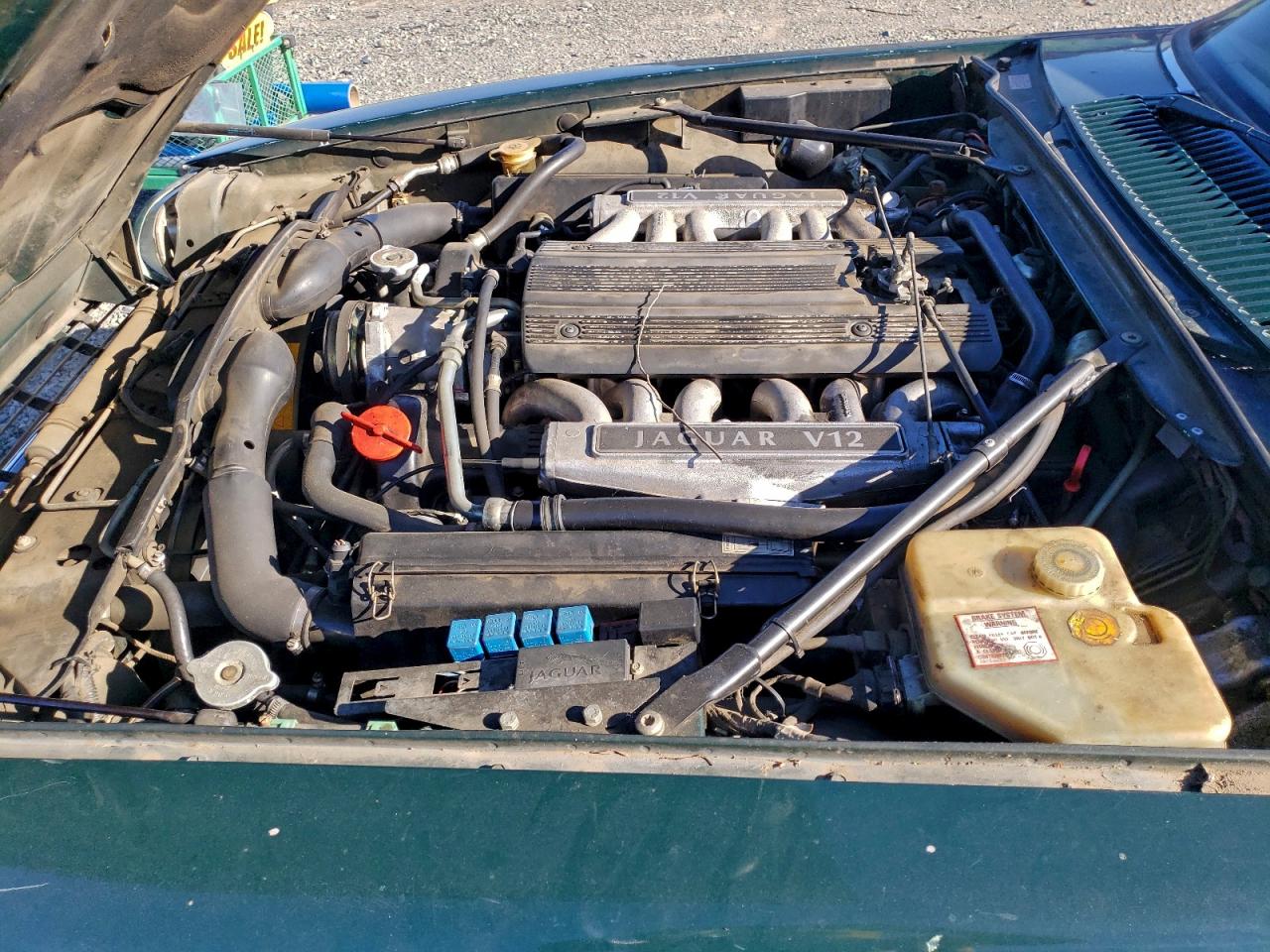 1994 Jaguar Xjs Зеленый vin: SAJNX5348RC189412