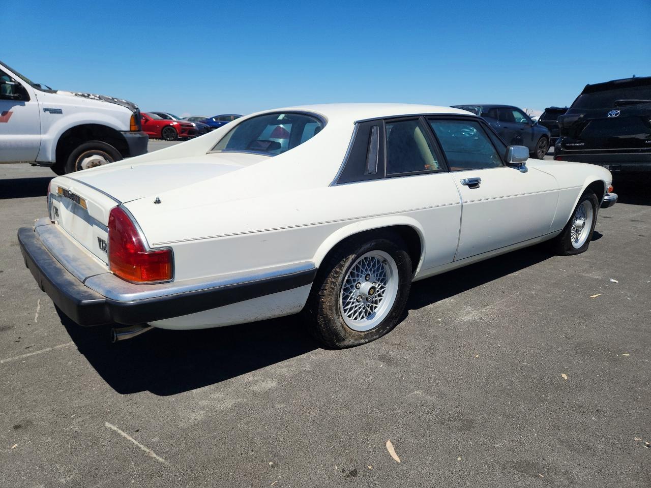 1989 Jaguar Xjs Белый vin: SAJNY5847KC158289