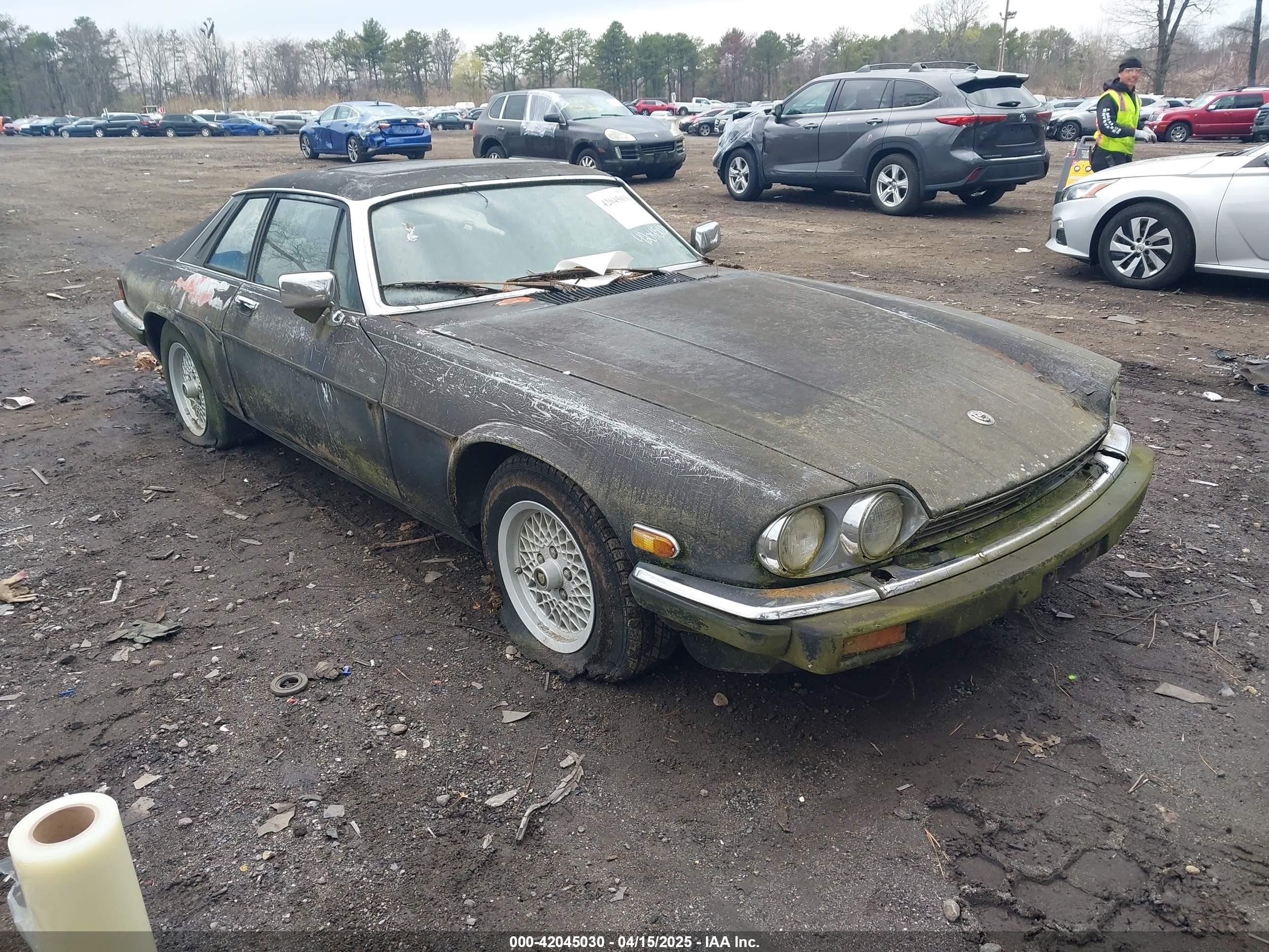 1989 Jaguar Xjs   Черный vin: SAJNY584XKC163129