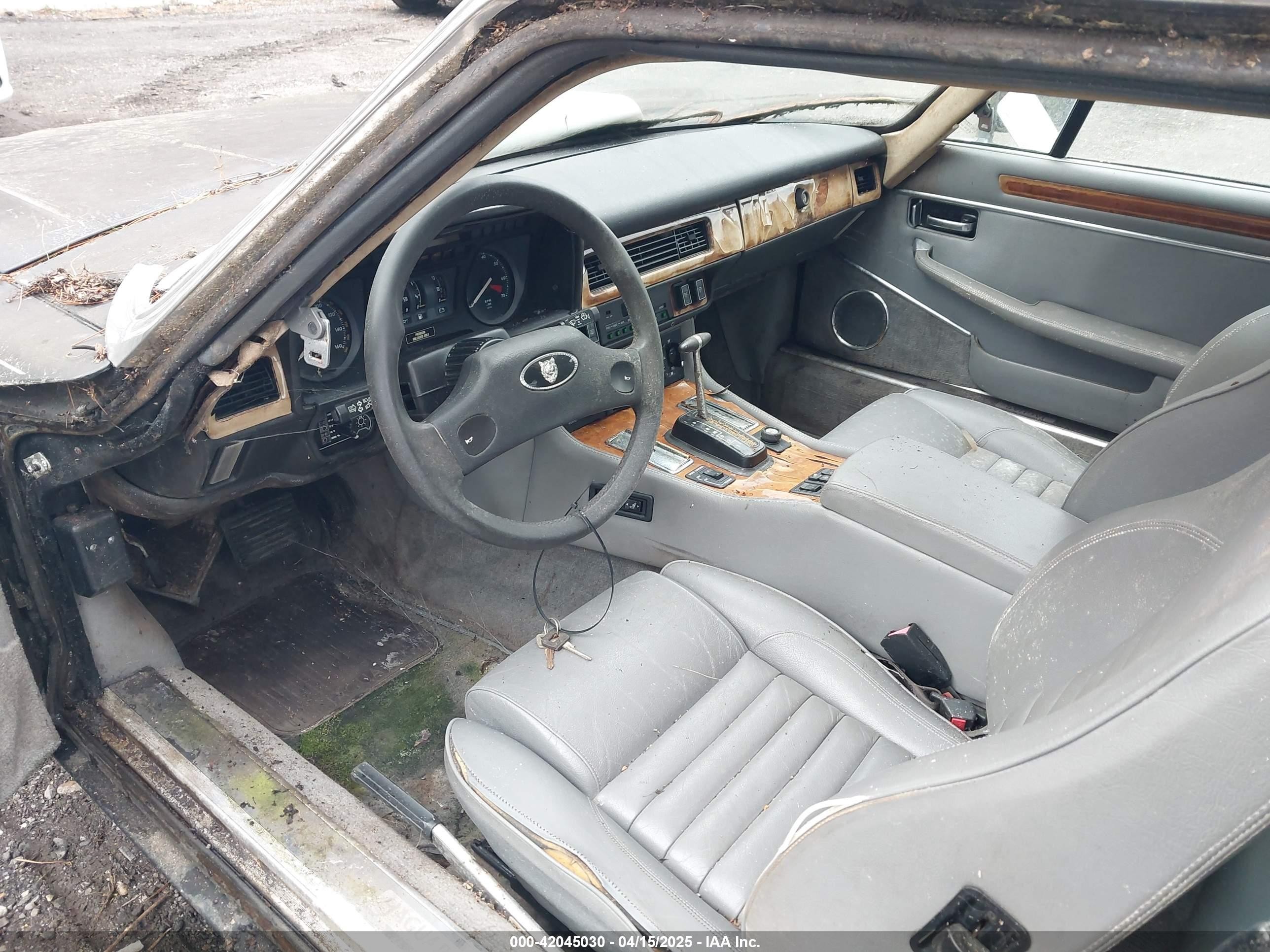 1989 Jaguar Xjs   Black vin: SAJNY584XKC163129