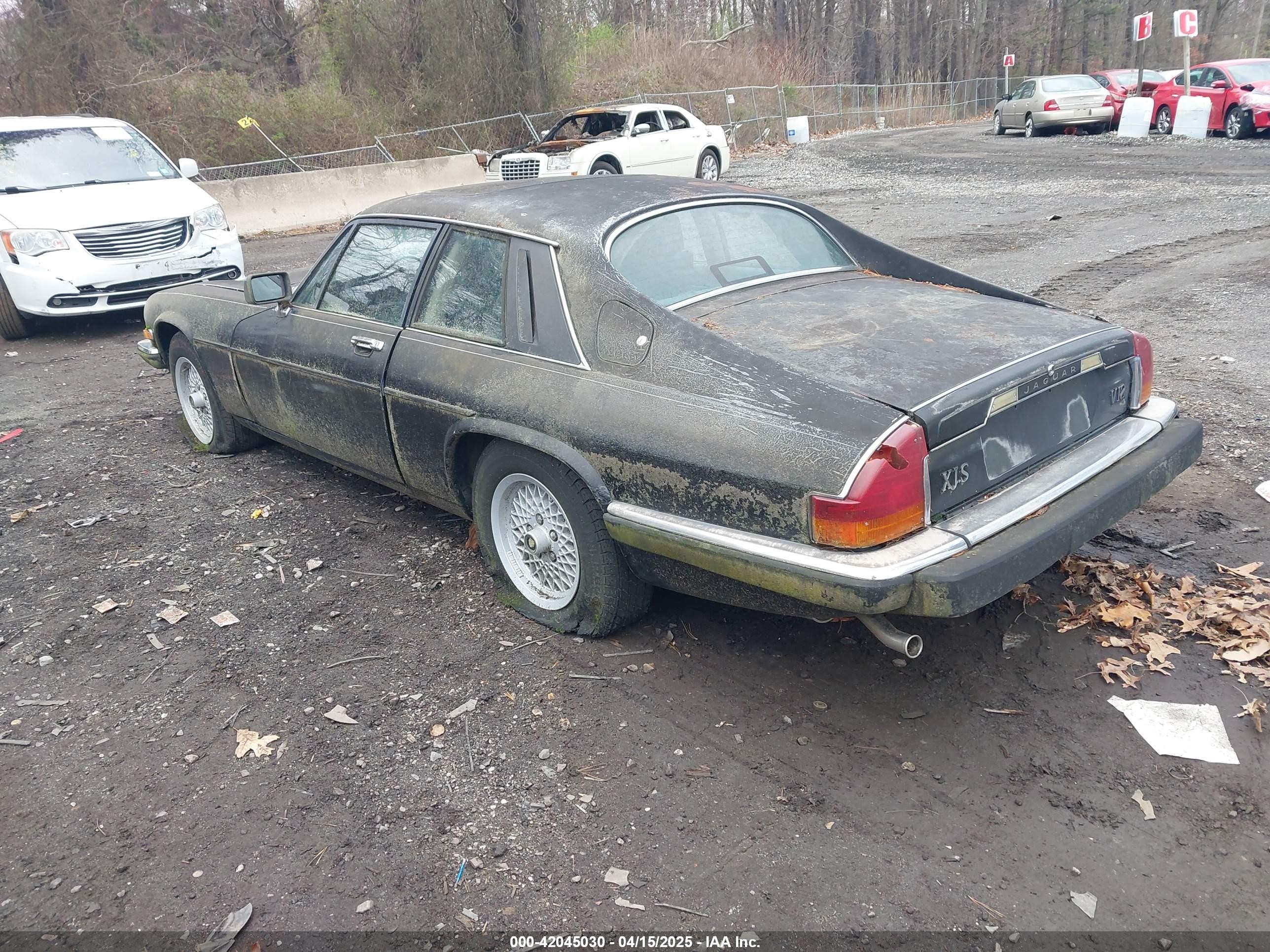 1989 Jaguar Xjs   Black vin: SAJNY584XKC163129