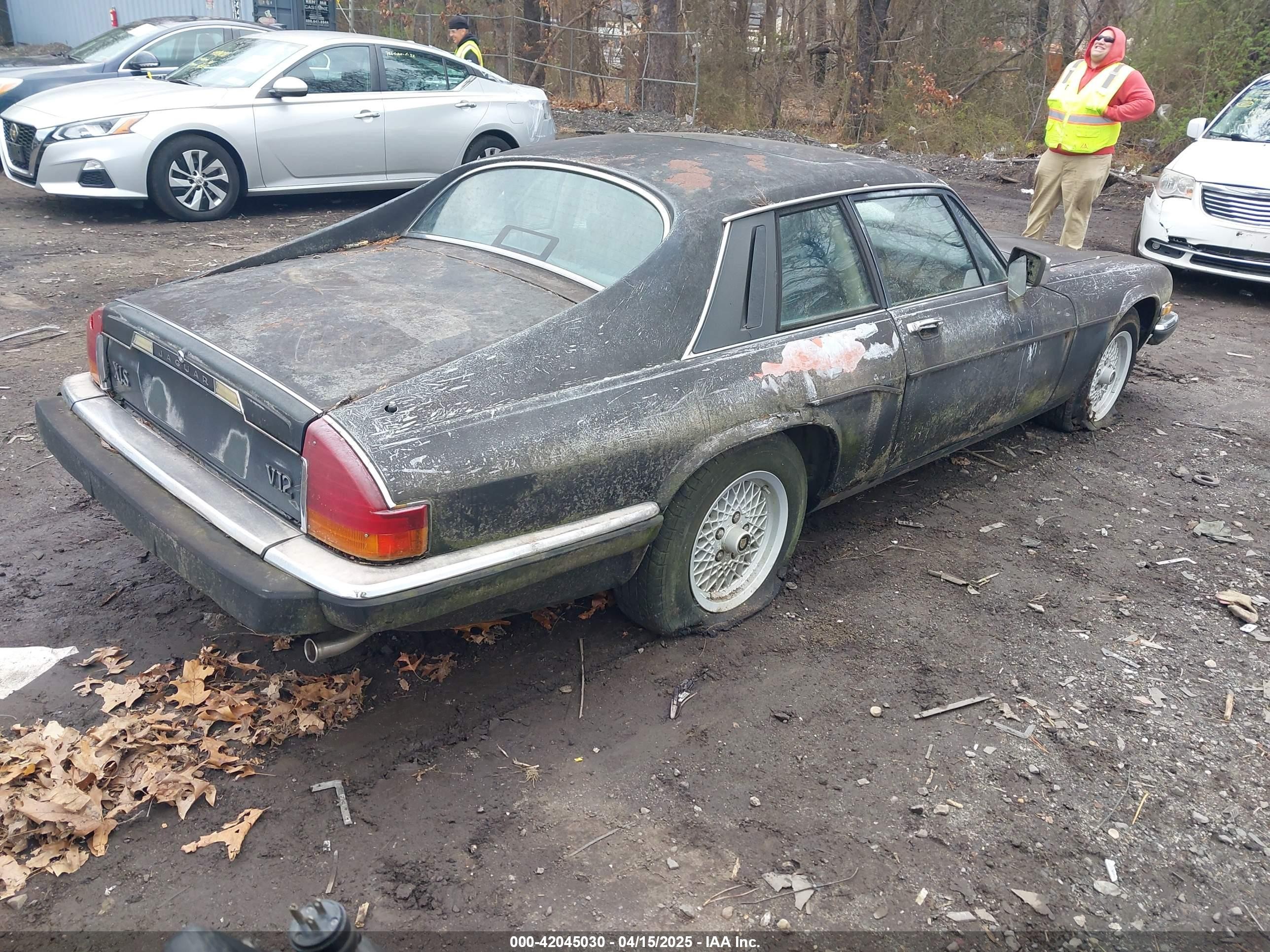 1989 Jaguar Xjs   Black vin: SAJNY584XKC163129