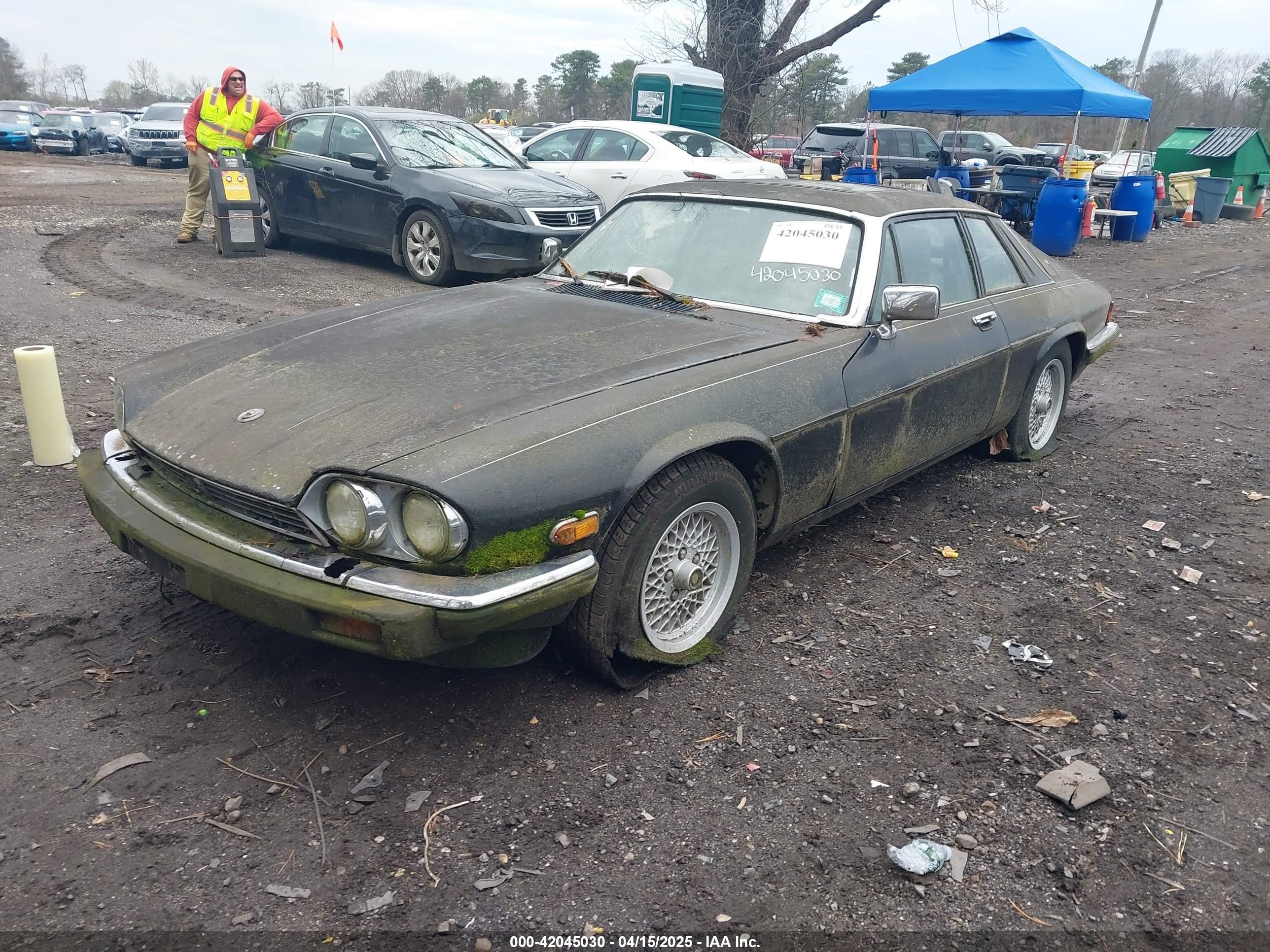 1989 Jaguar Xjs   Black vin: SAJNY584XKC163129