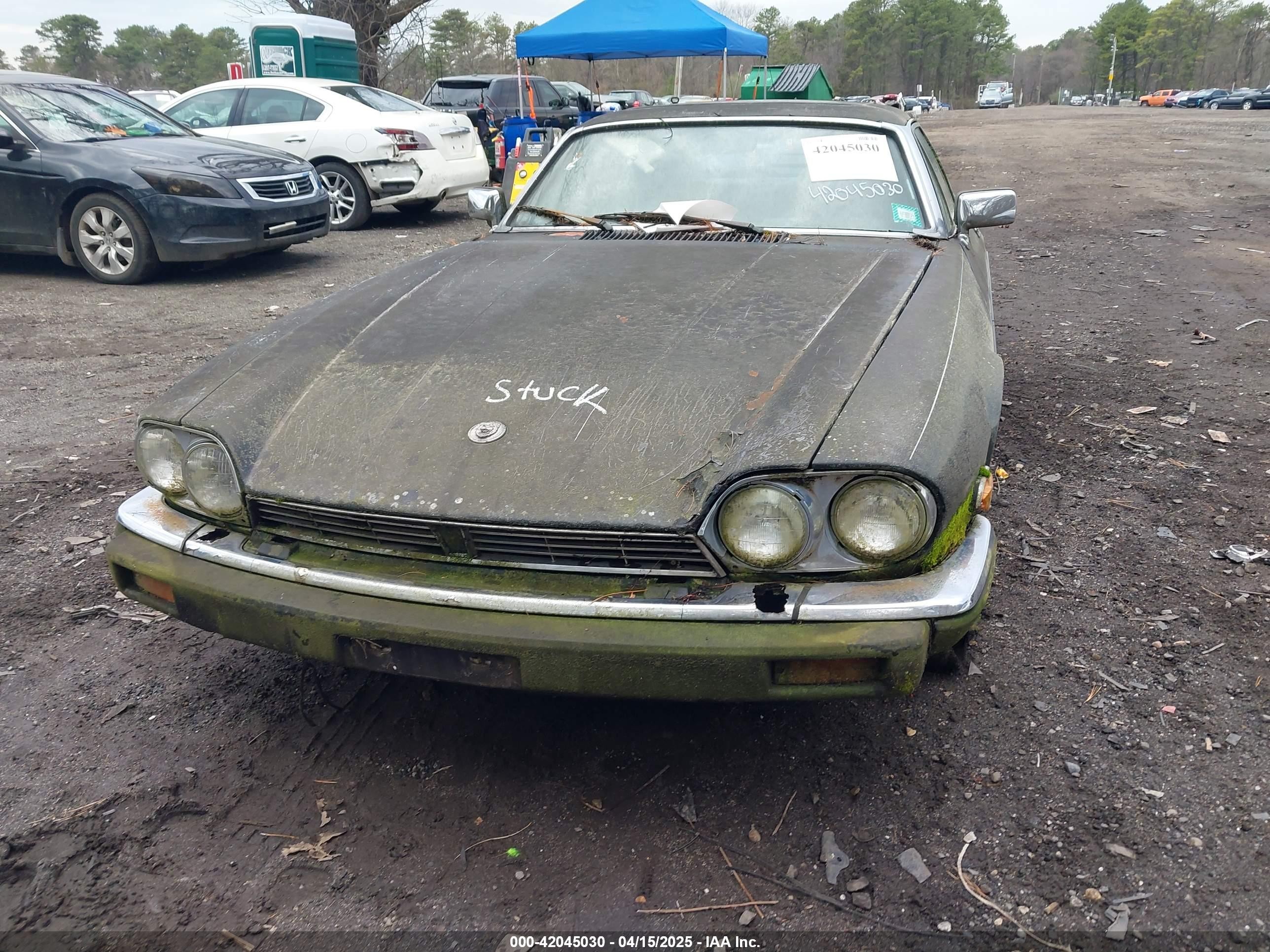 1989 Jaguar Xjs   Black vin: SAJNY584XKC163129