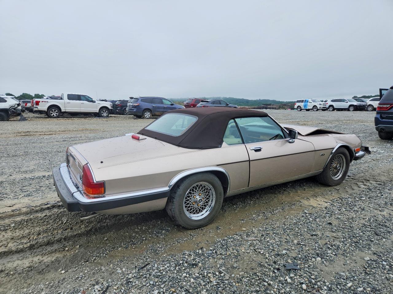 1991 Jaguar Xjs Classic Collection Tan vin: SAJTW484XMC177039