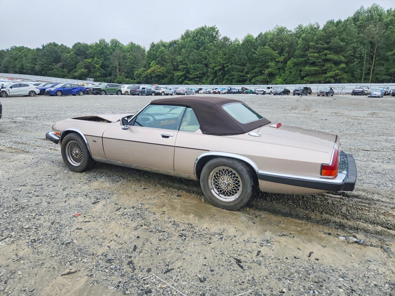 1991 Jaguar Xjs Classic Collection Tan vin: SAJTW484XMC177039