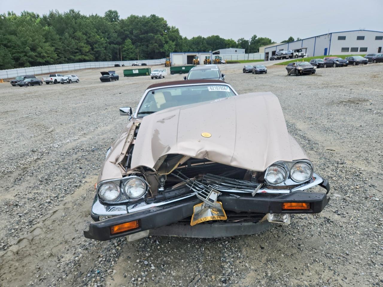 1991 Jaguar Xjs Classic Collection Tan vin: SAJTW484XMC177039