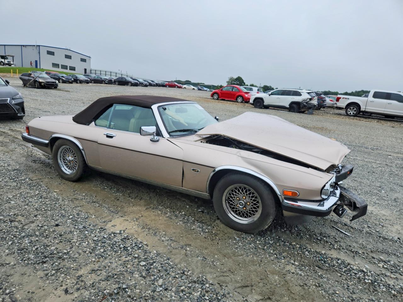 1991 Jaguar Xjs Classic Collection Tan vin: SAJTW484XMC177039
