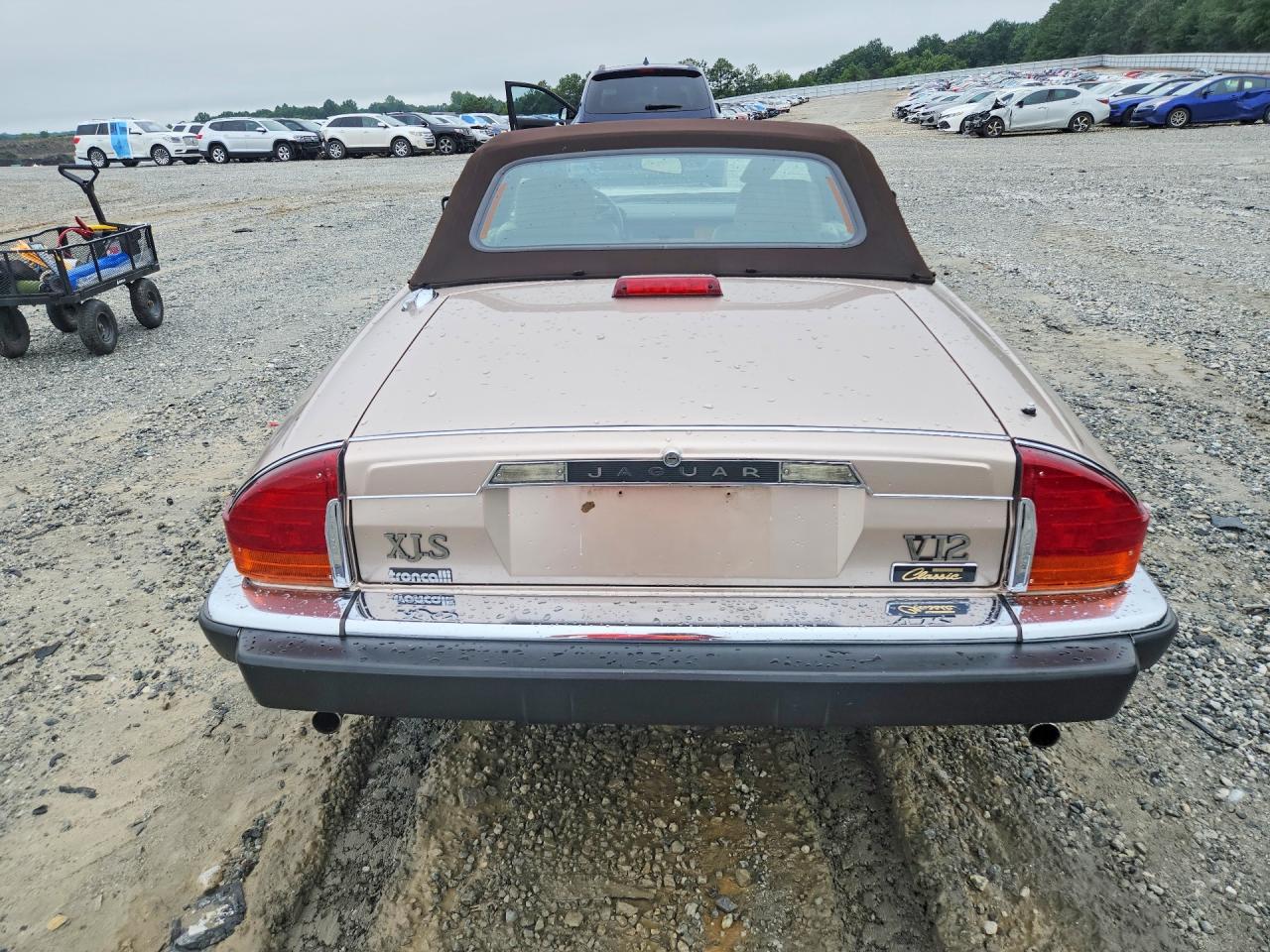 1991 Jaguar Xjs Classic Collection Tan vin: SAJTW484XMC177039