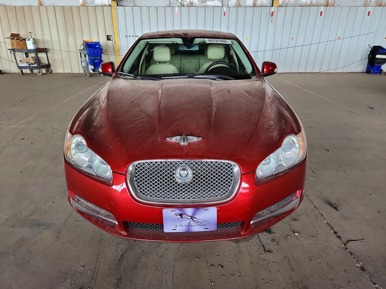 2009 Jaguar Xf Luxury Red vin: SAJWA05B69HR08860