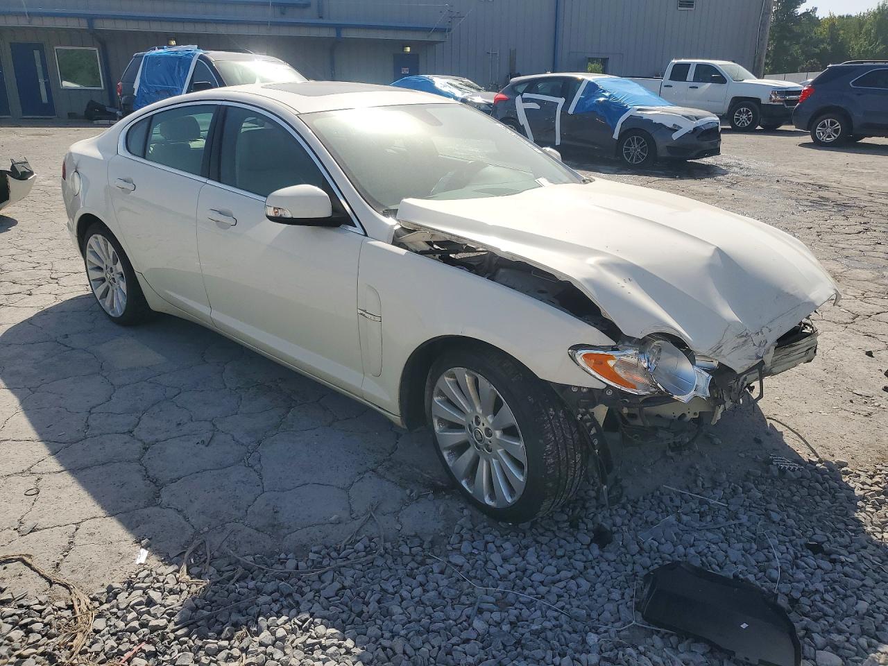 2009 Jaguar Xf Luxury White vin: SAJWA05B99HR27709