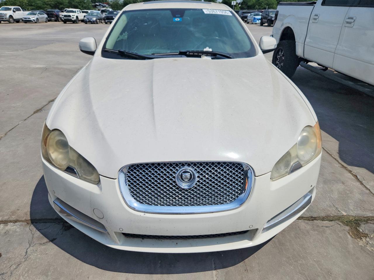2009 Jaguar Xf Premium Luxury White vin: SAJWA06B09HR43232
