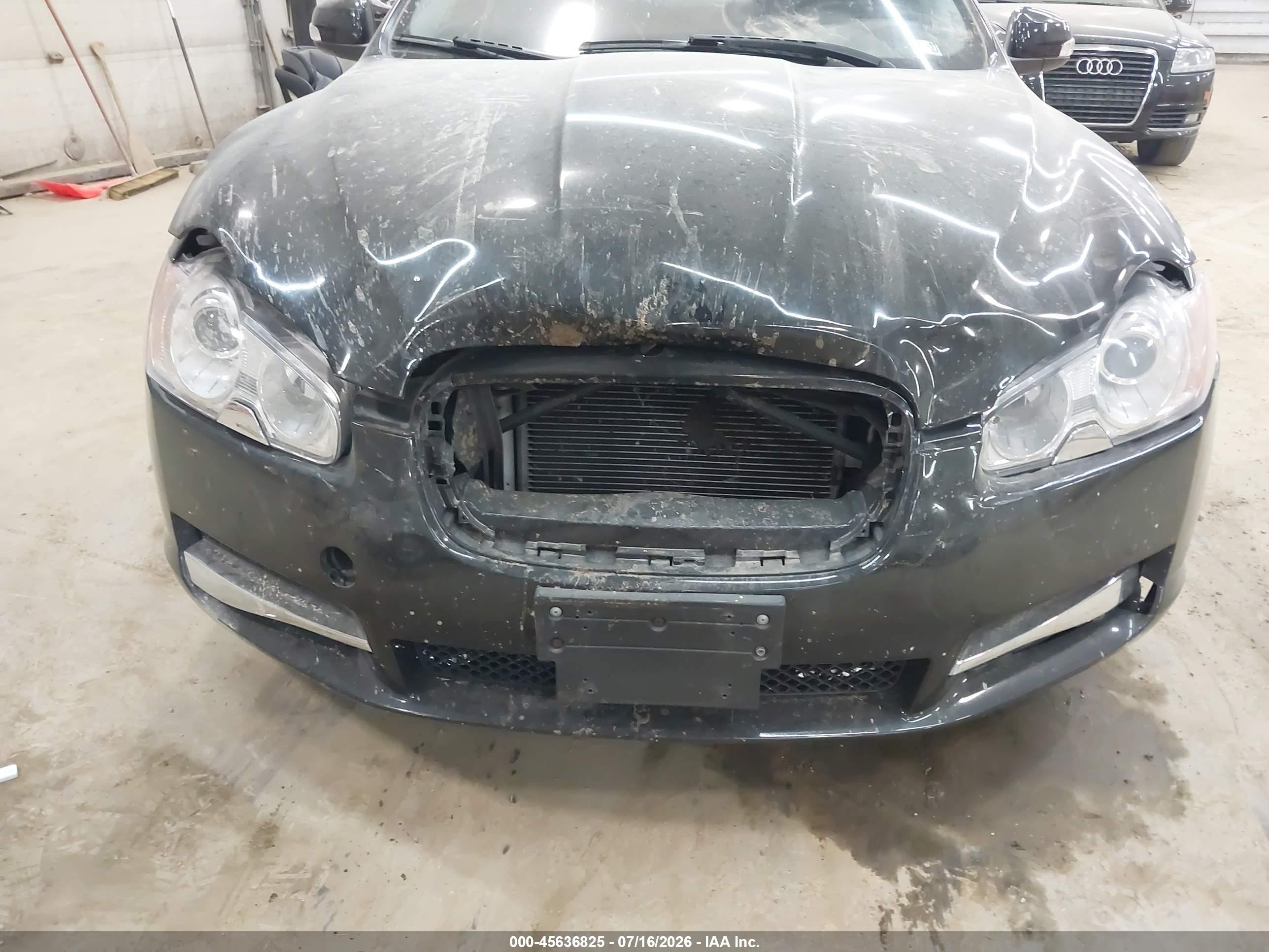 2009 Jaguar Xf Premium Luxury Black vin: SAJWA06B69HR05231
