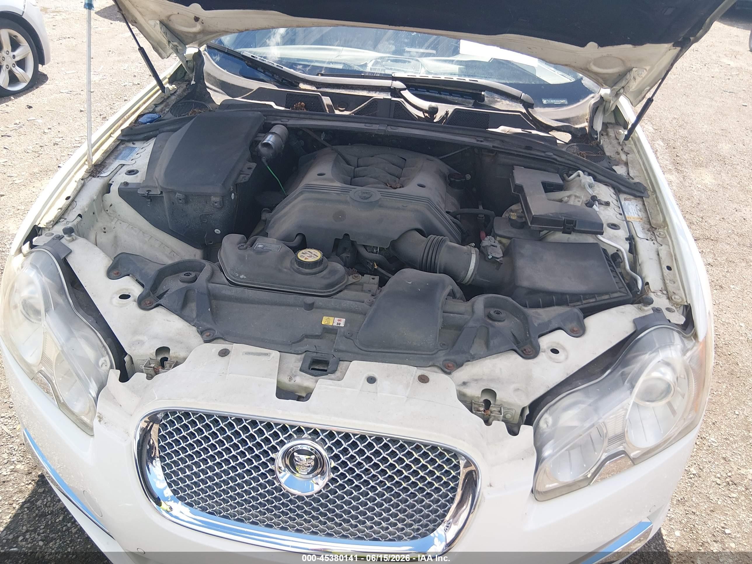 2009 Jaguar Xf Premium Luxury Cream vin: SAJWA06B99HR32214