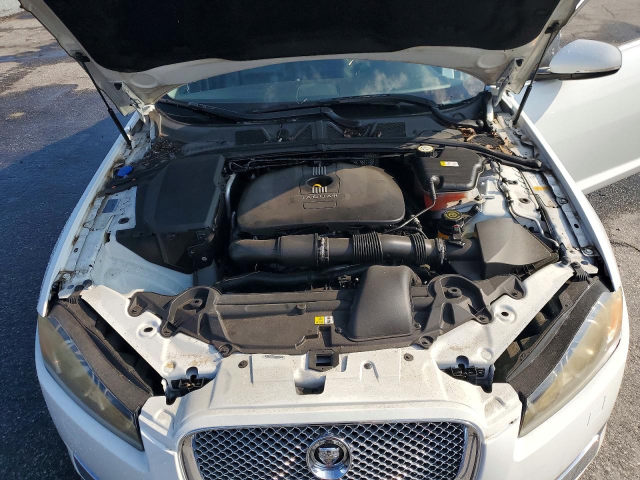 2013 Jaguar Xf Белый vin: SAJWA0ES6DPS76294