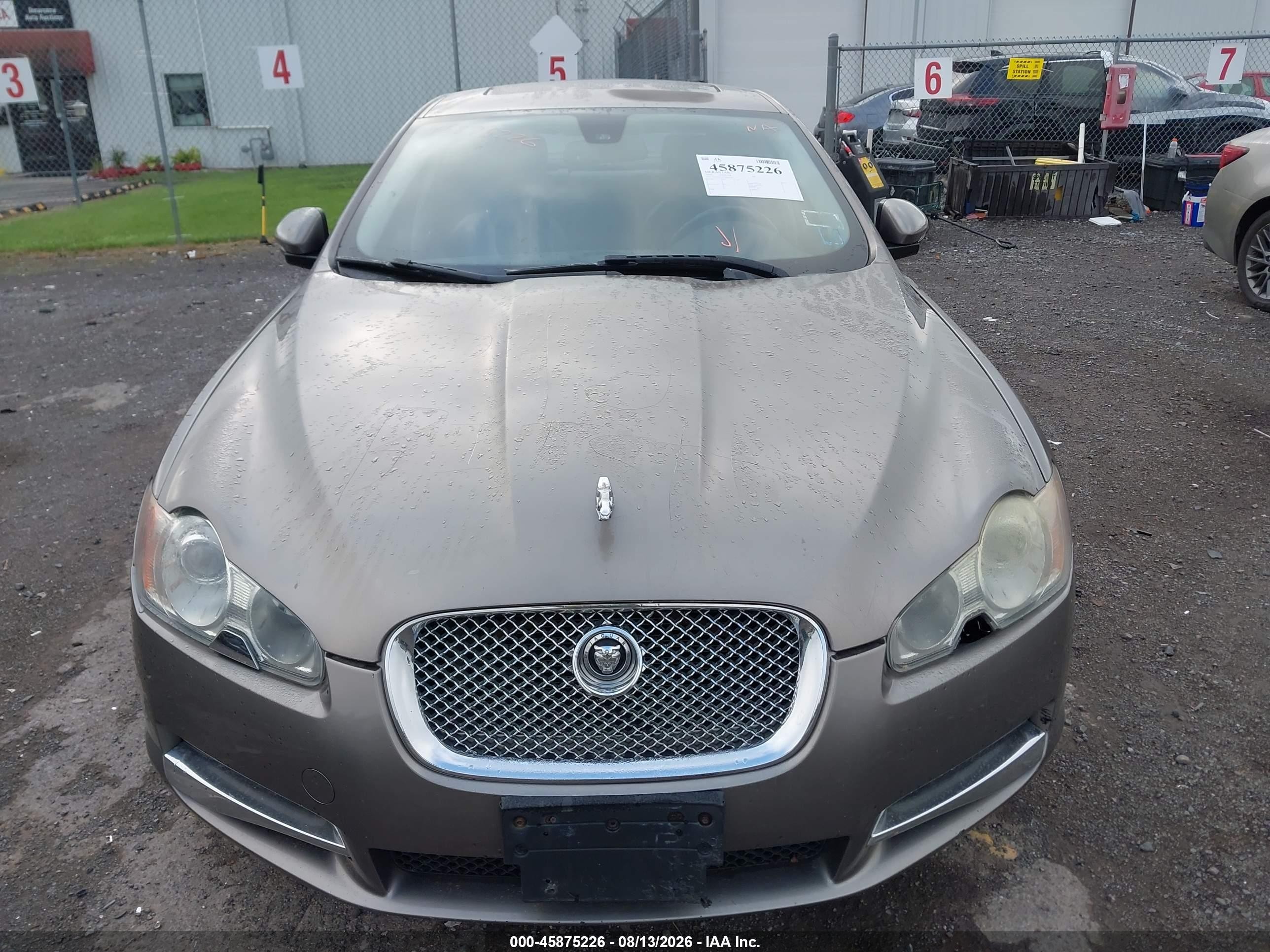2010 Jaguar Xf   Gray vin: SAJWA0FA7AHR53607