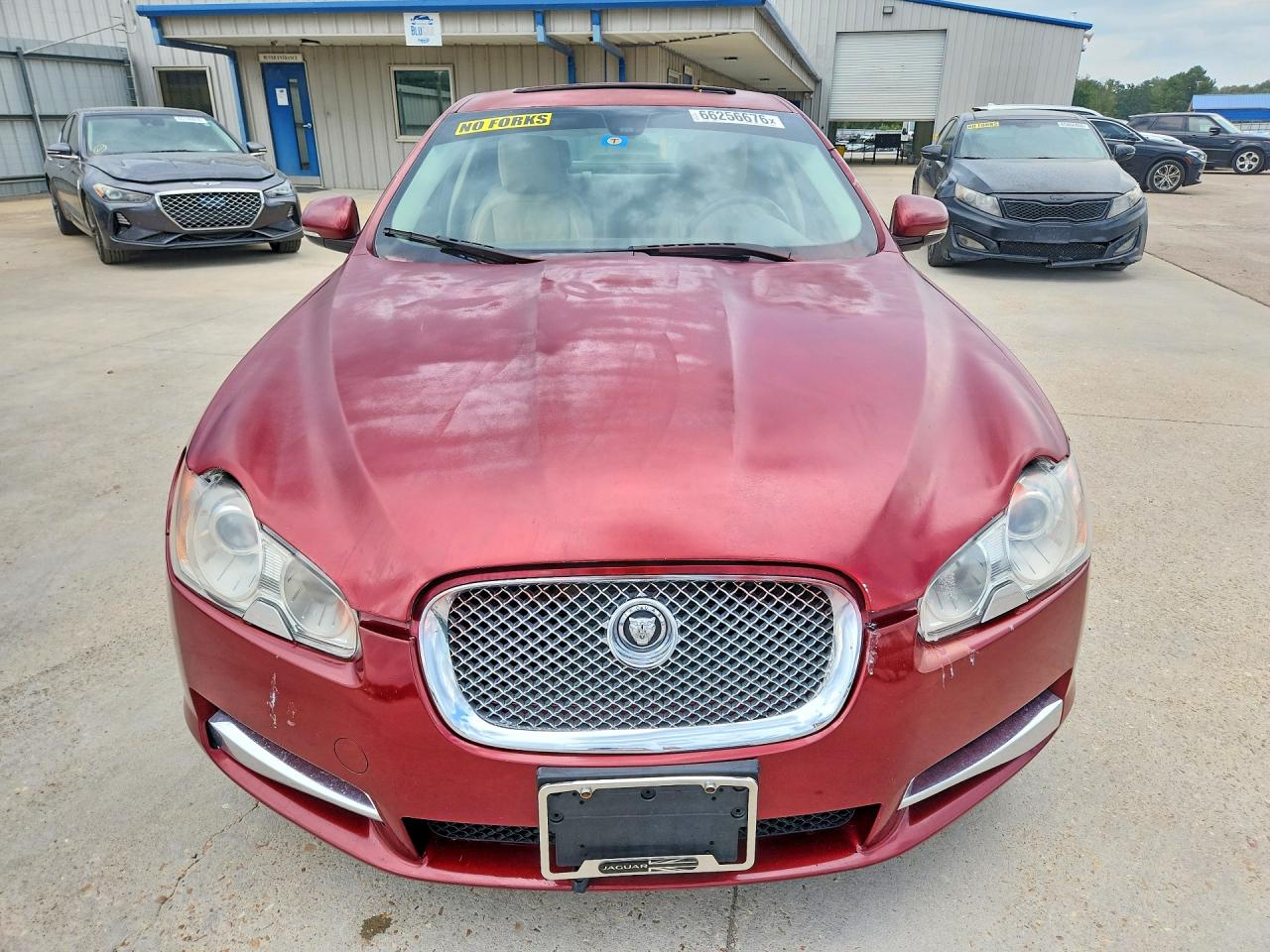 2010 Jaguar Xf Luxury Red vin: SAJWA0FA7AHR64879