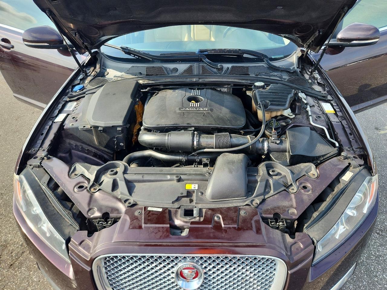 2015 Jaguar Xf 2.0t Premium Purple vin: SAJWA0FS0FPU46036