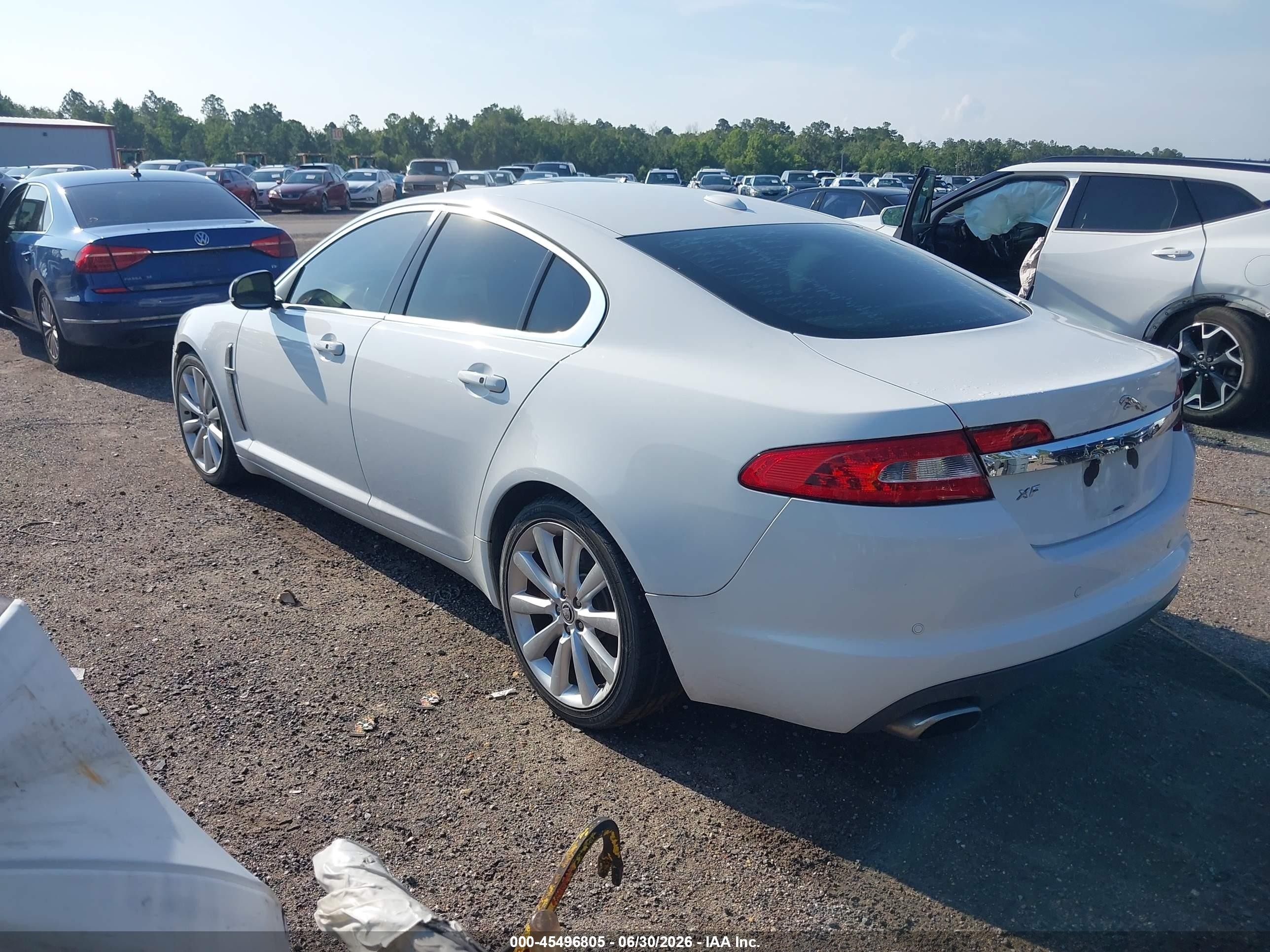2011 Jaguar Xf Premium Белый vin: SAJWA0GB8BLS18107