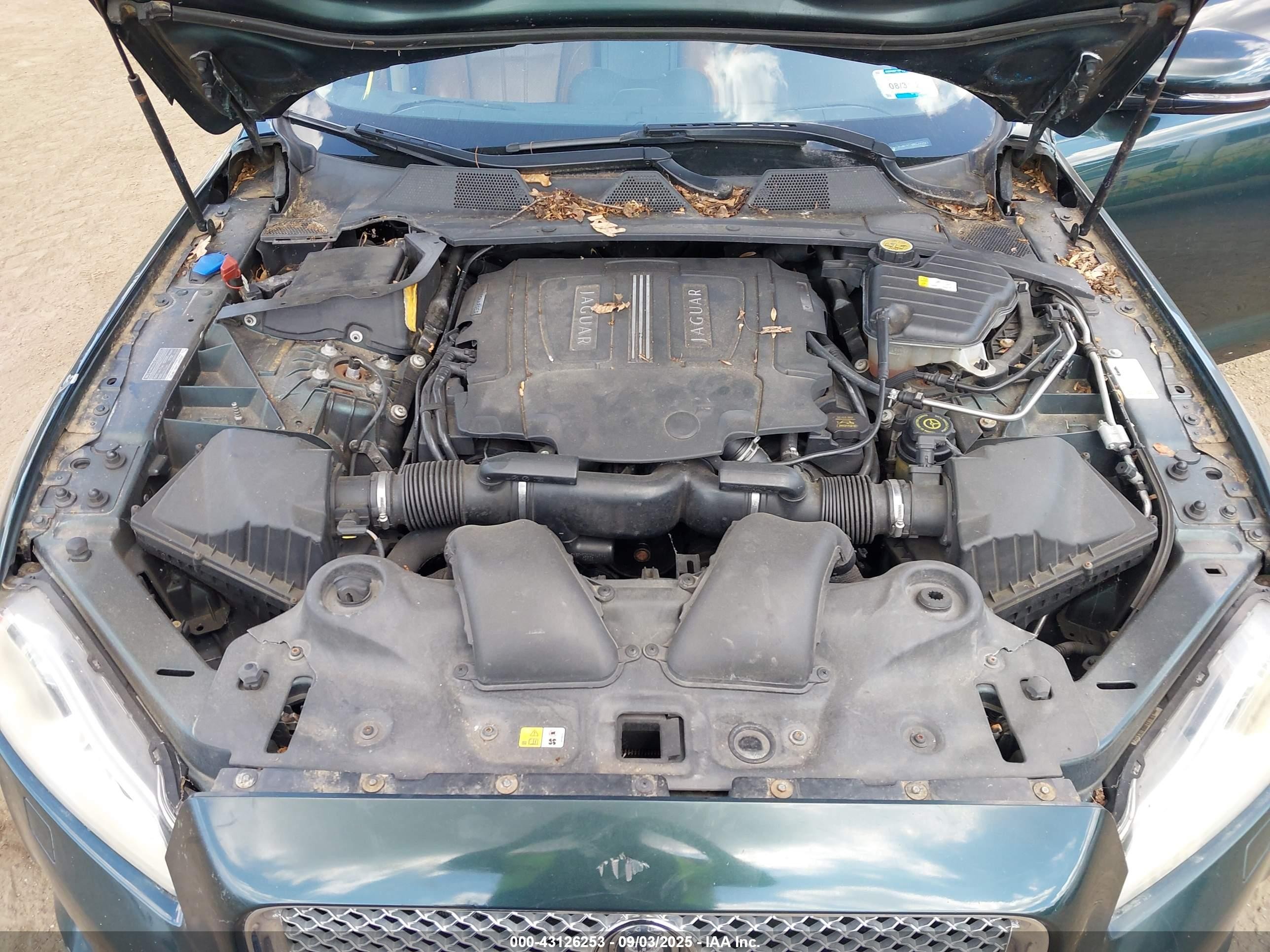 2013 Jaguar Xj   Green vin: SAJWA1C75D8V41124