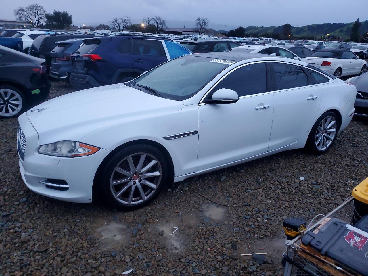 2013 Jaguar Xj White vin: SAJWA1C76D8V43092