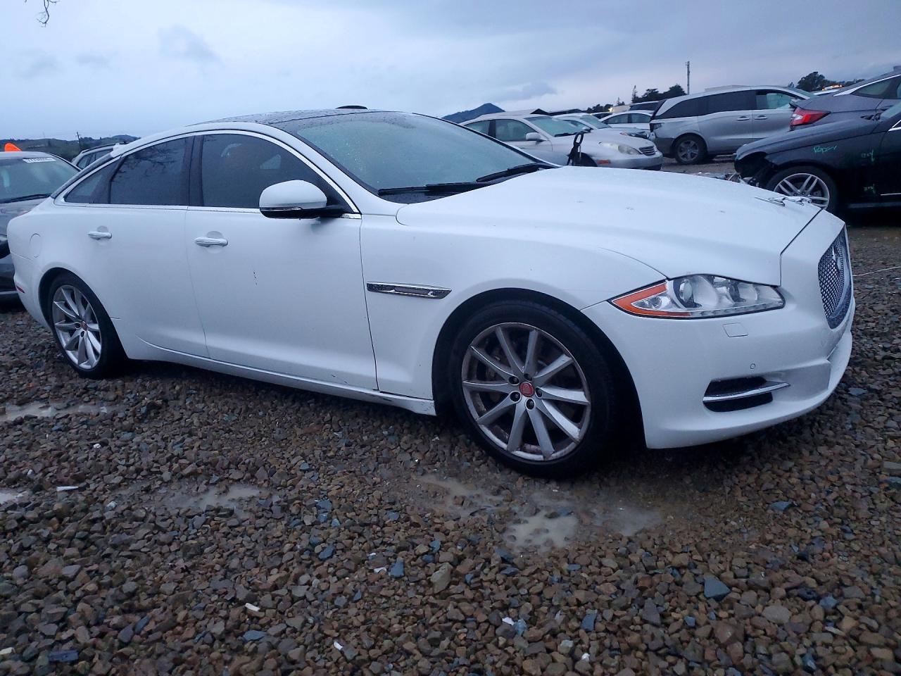 2013 Jaguar Xj White vin: SAJWA1C76D8V43092
