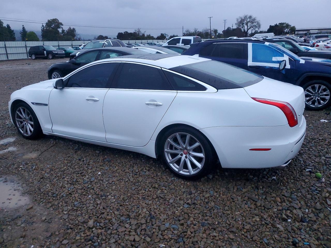 2013 Jaguar Xj White vin: SAJWA1C76D8V43092