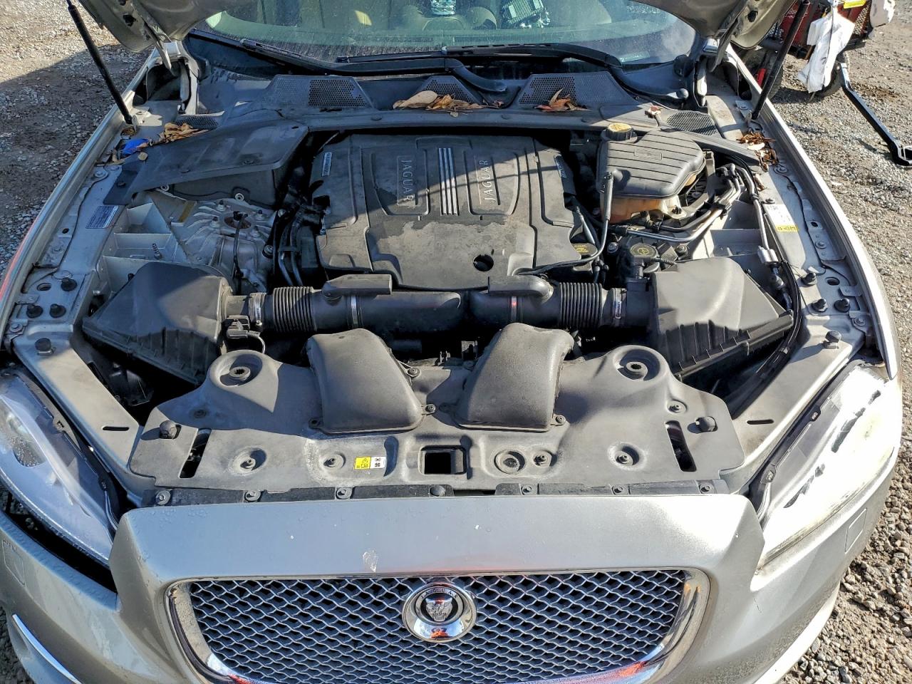 2013 Jaguar Xj Tan vin: SAJWA1C79D8V50876
