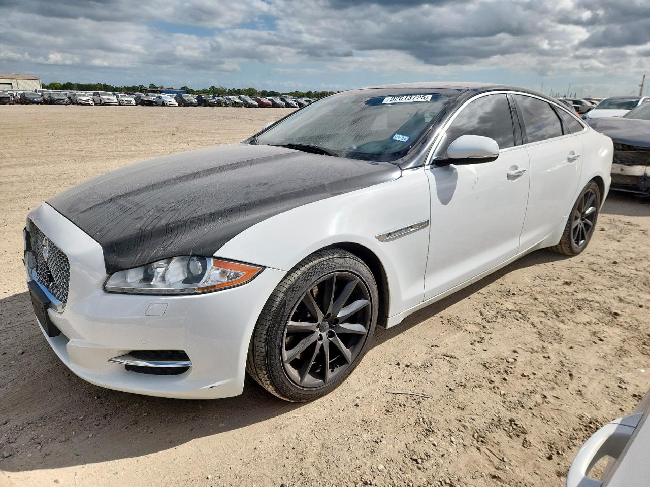 2013 Jaguar Xj White vin: SAJWA1C7XD8V57304