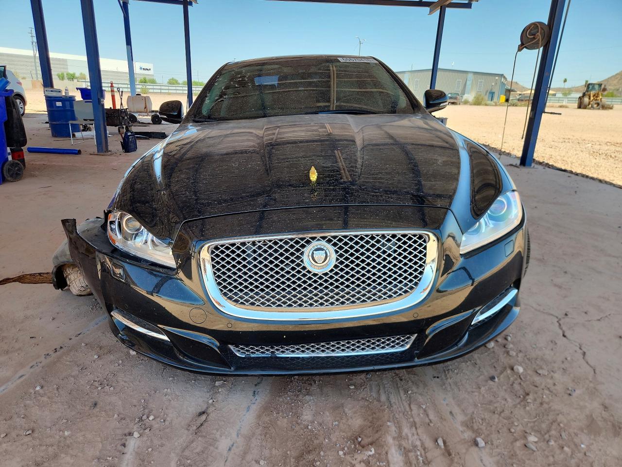2011 Jaguar Xj Зеленый vin: SAJWA1CB1BLV17837