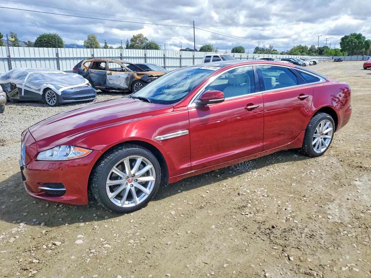 2014 Jaguar Xj Красный vin: SAJWA1CZ7E8V74354