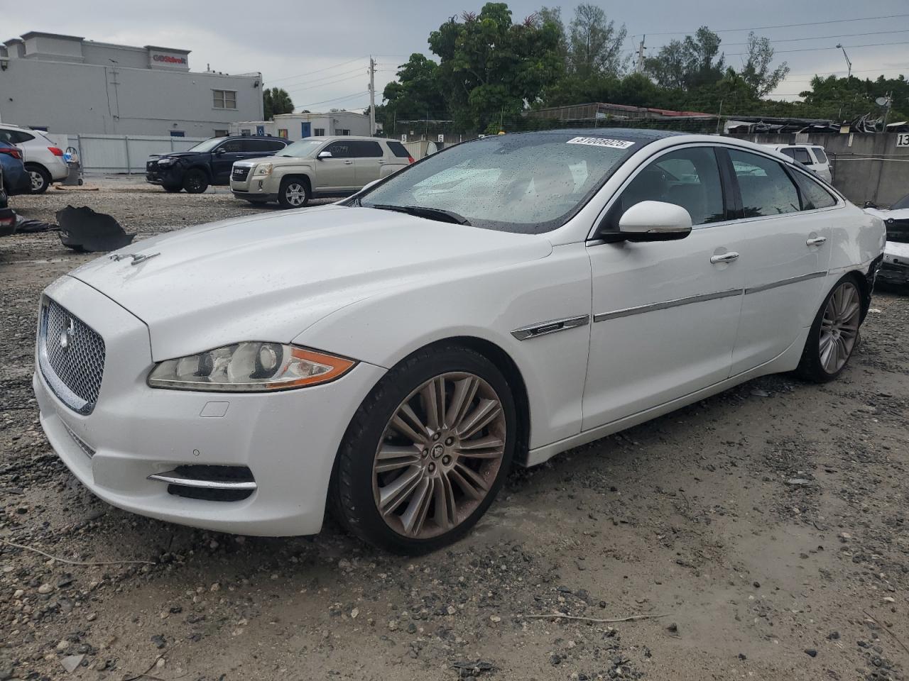 2013 Jaguar Xj Supercharged White vin: SAJWA1GE1DMV42254