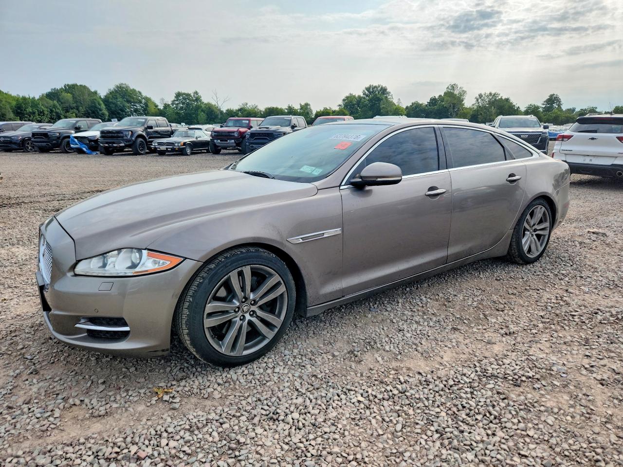 2011 Jaguar Xjl Gray vin: SAJWA2GB4BLV17136