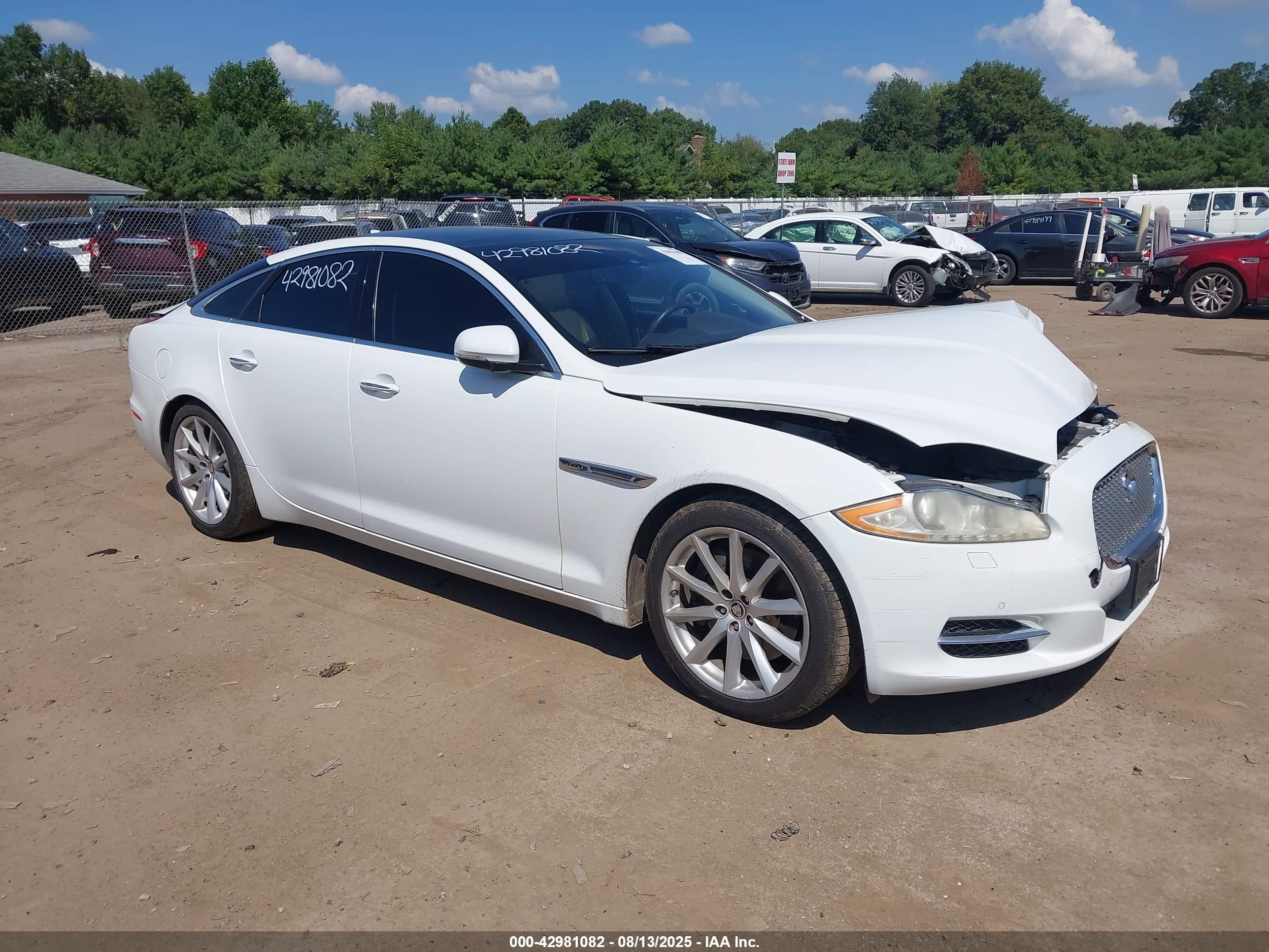 2013 Jaguar Xj   White vin: SAJWJ1CD5D8V51769