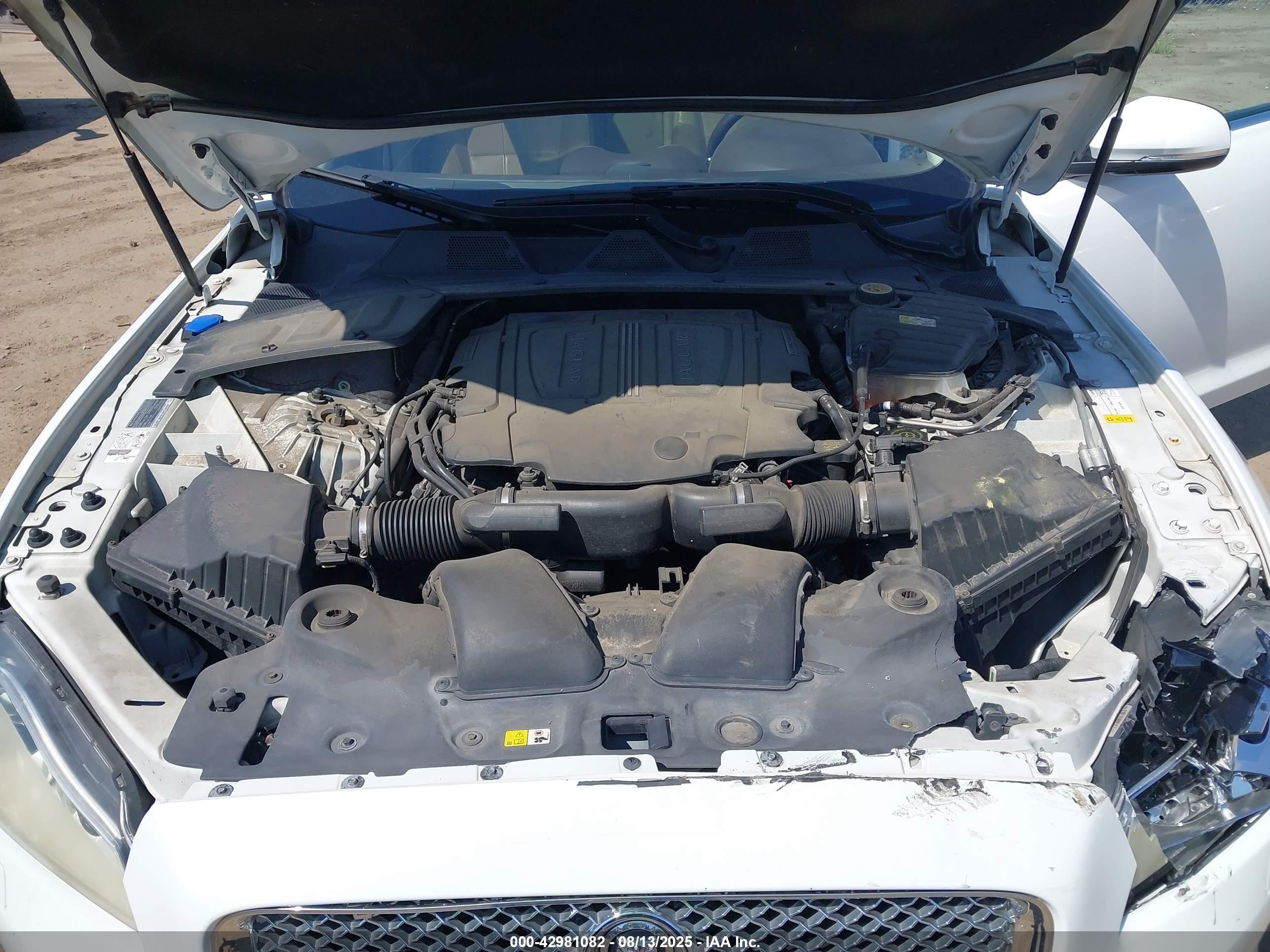 2013 Jaguar Xj   White vin: SAJWJ1CD5D8V51769