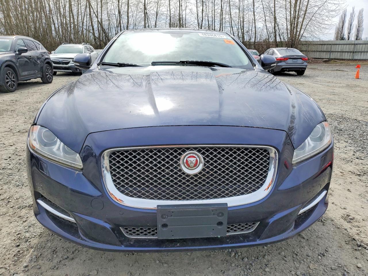 2014 Jaguar Xj Blue vin: SAJWJ1CD6E8V63804