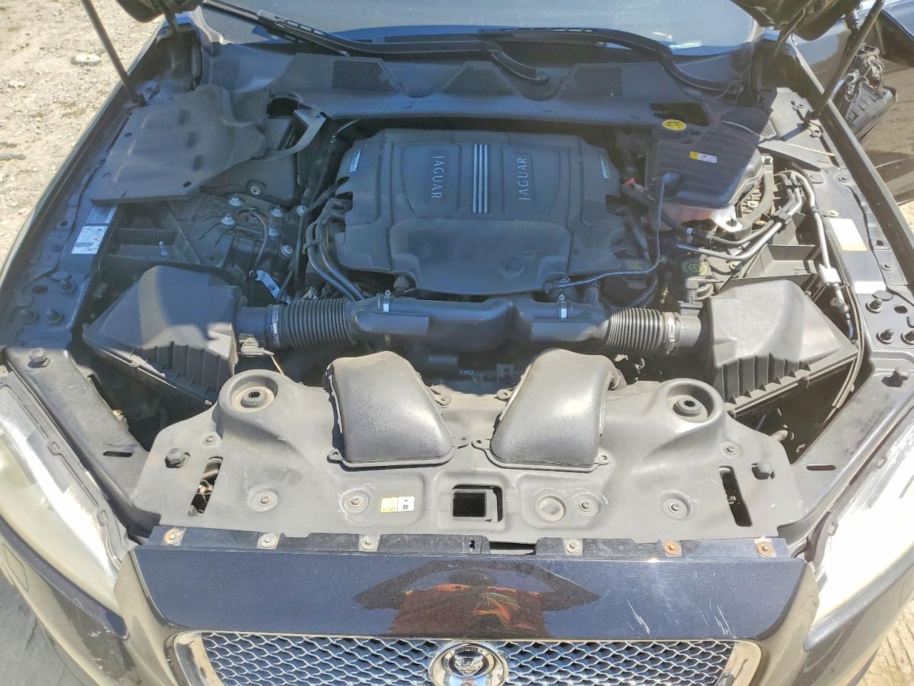 2013 Jaguar Xj Черный vin: SAJWJ1CDXD8V52173