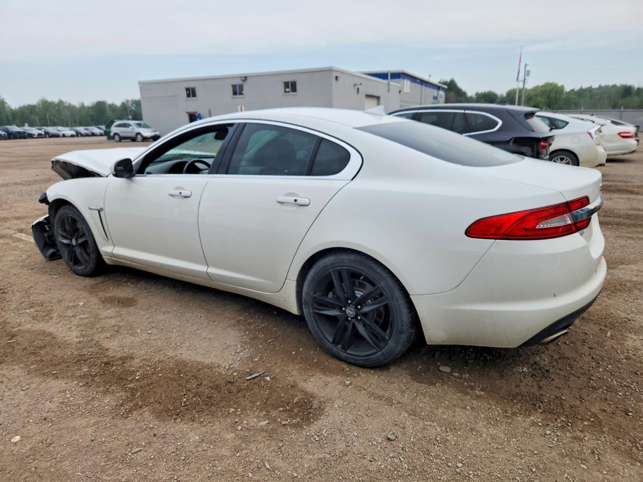 2013 Jaguar Xf White vin: SAJXJ0EF9D8S79059