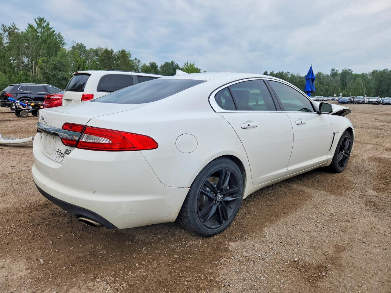2013 Jaguar Xf White vin: SAJXJ0EF9D8S79059