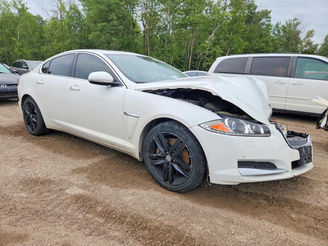 2013 Jaguar Xf White vin: SAJXJ0EF9D8S79059