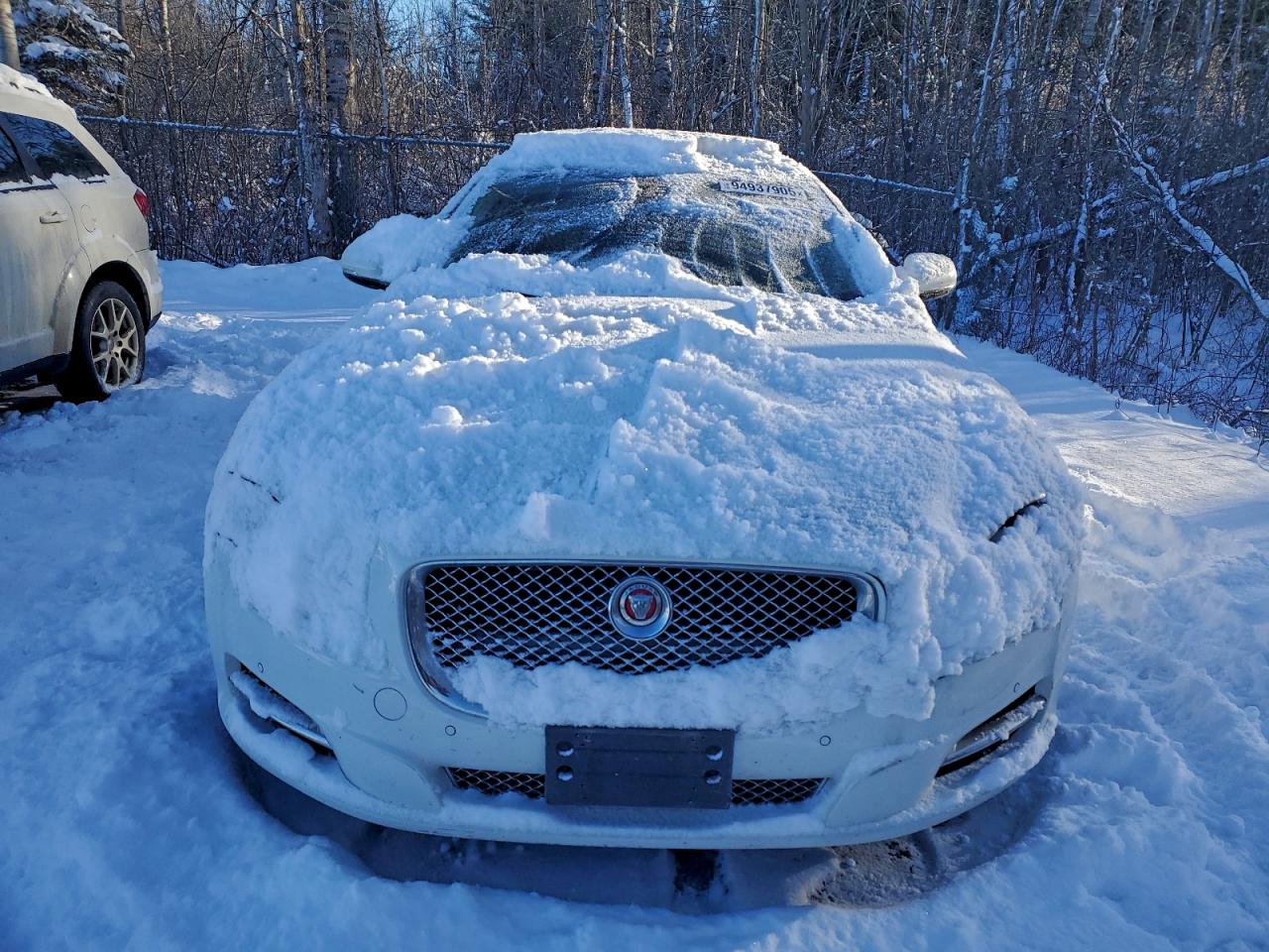 2014 Jaguar Xjl Portfolio White vin: SAJXJ2GD8E8V63503