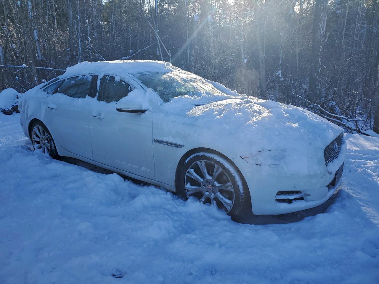 2014 Jaguar Xjl Portfolio White vin: SAJXJ2GD8E8V63503