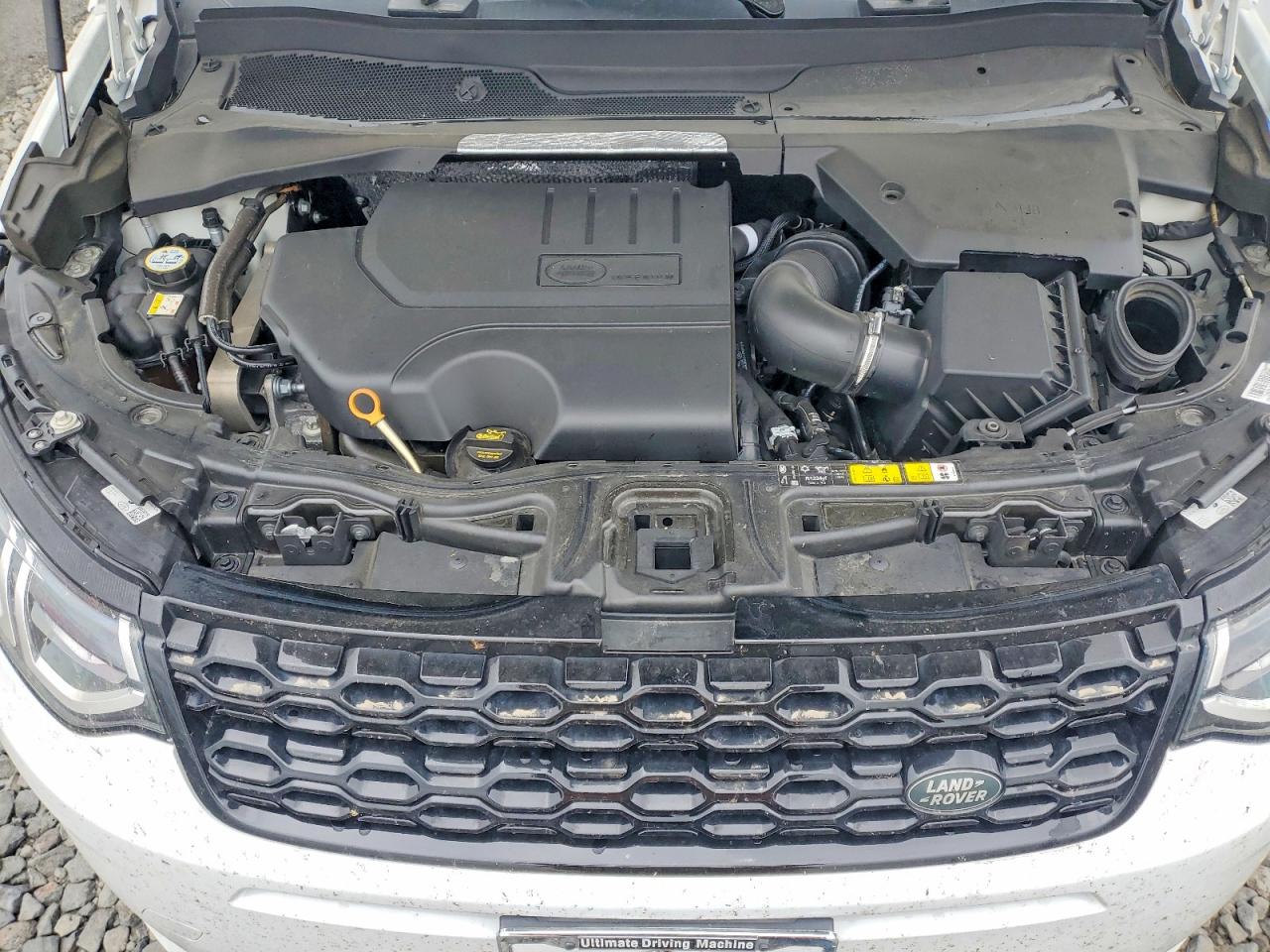 2020 Land Rover Discovery Sport S R-dynamic White vin: SALCT2FX9LH844234