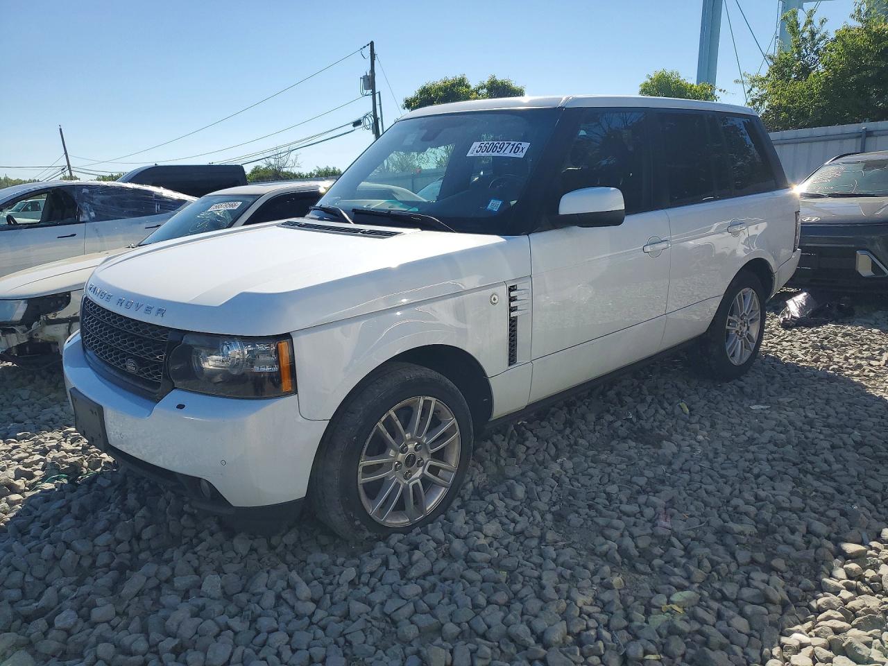 2012 Land Rover Range Rover Hse Белый vin: SALME1D40CA376971