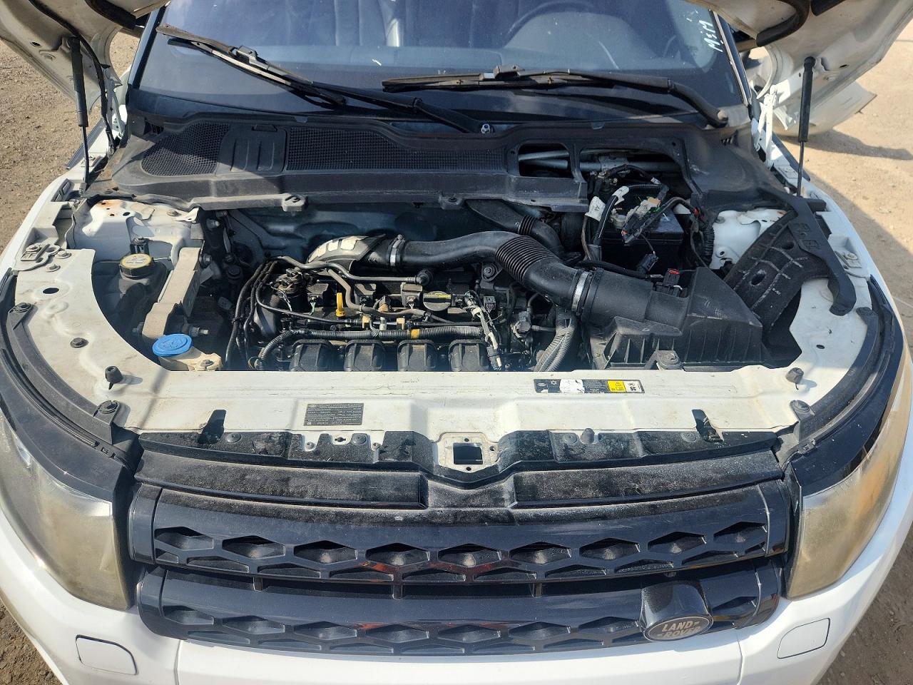2013 Land Rover Range Rover Evoque Dynamic Premium Белый vin: SALVT1BG6DH803750